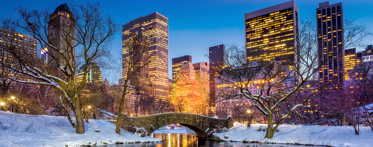 Snow covered bridge in Central Park